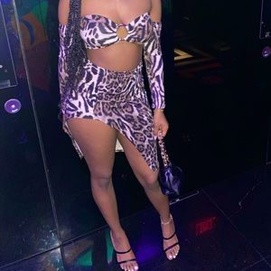 Animal Print Skirt Set